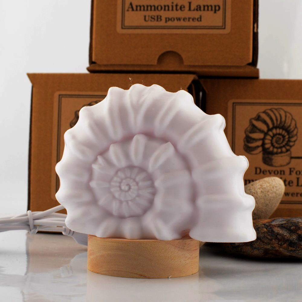 Ammonite Lamp