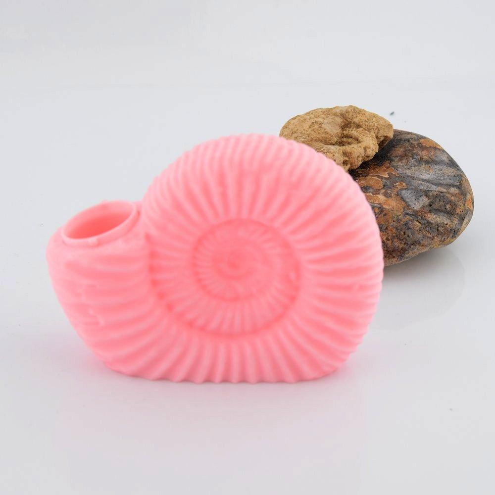 Ammonite Pot