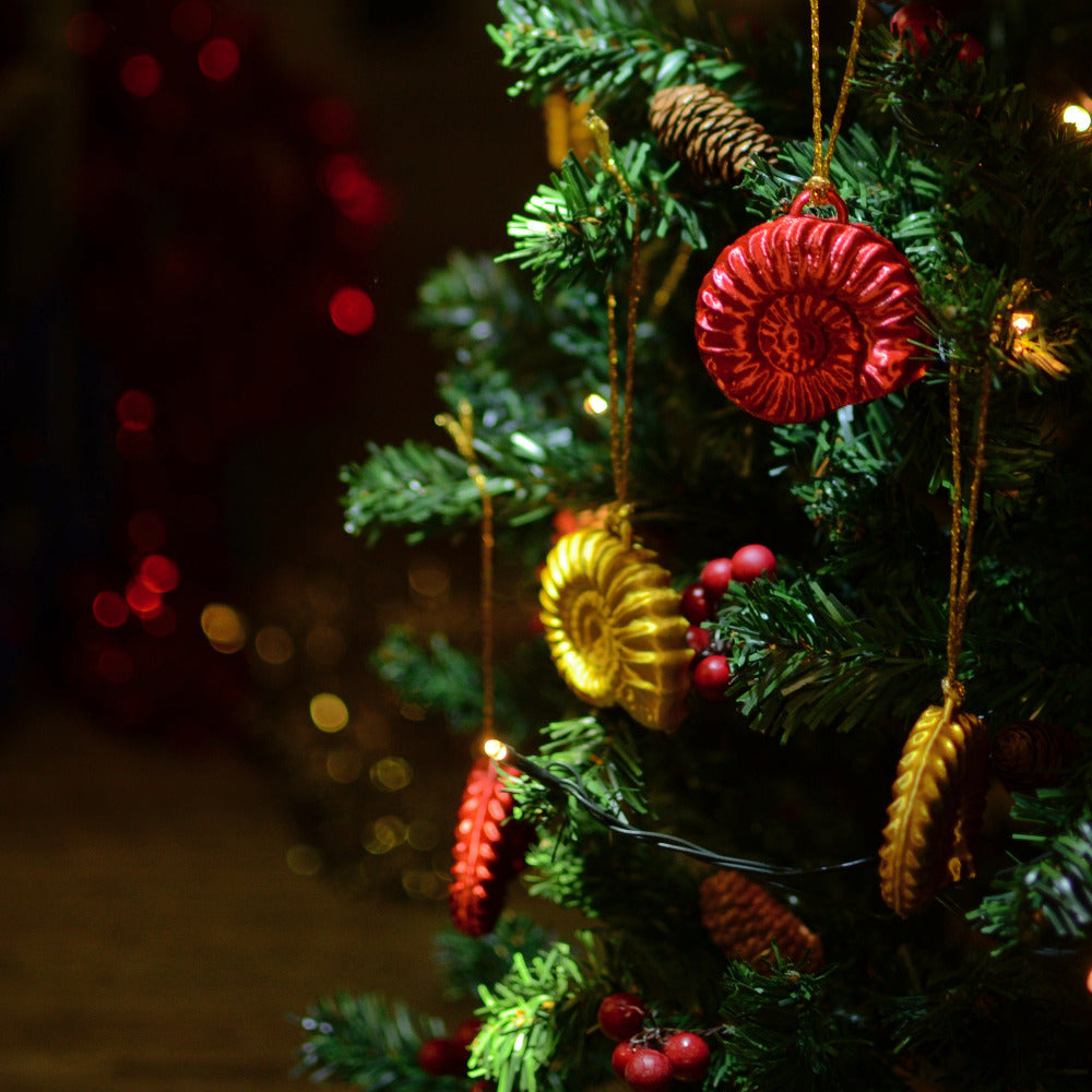 Decorative Christmas tree with red and gold ammonite ornaments against a dark background