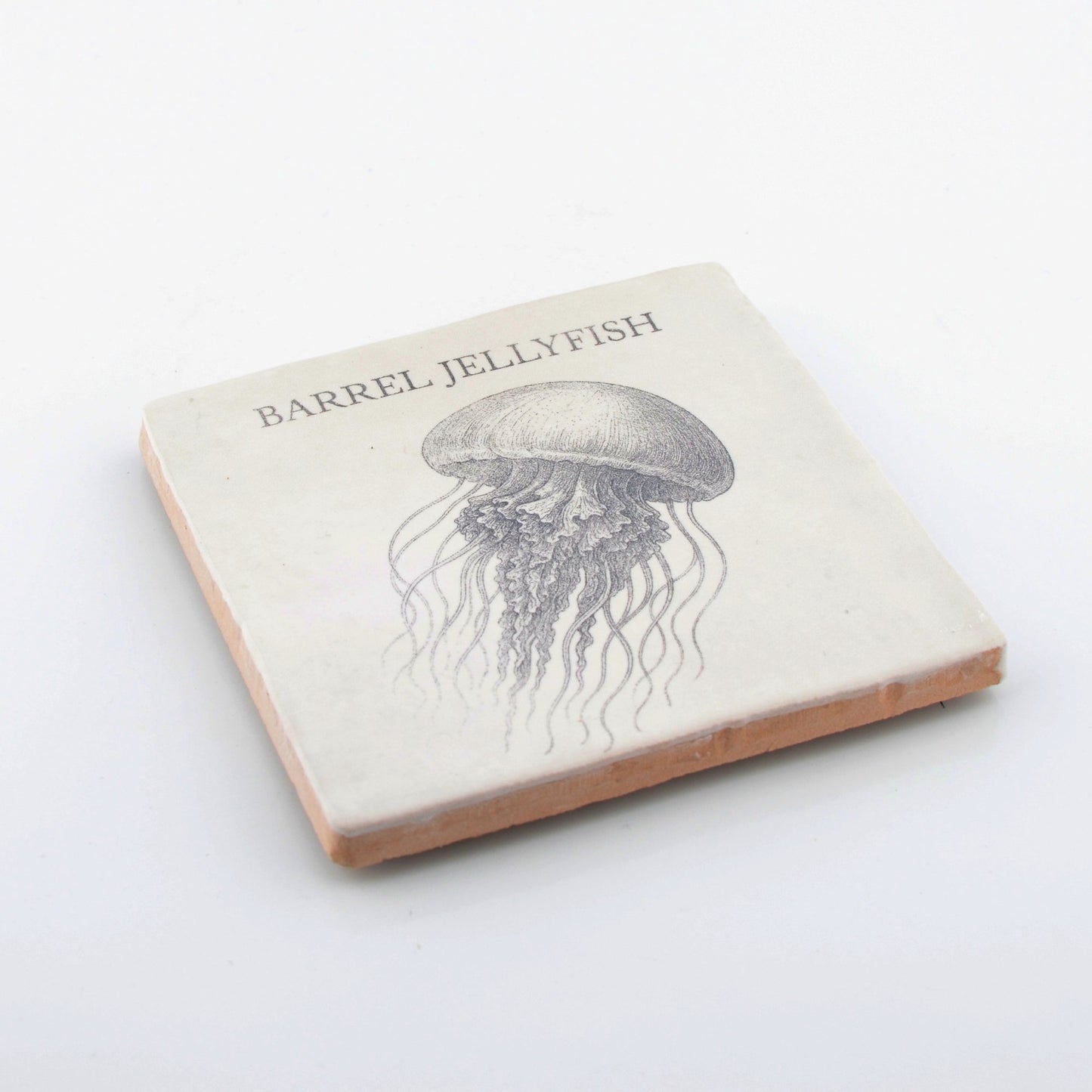 Marine Life Ceramic Coaster - Barrel Jellyfish
