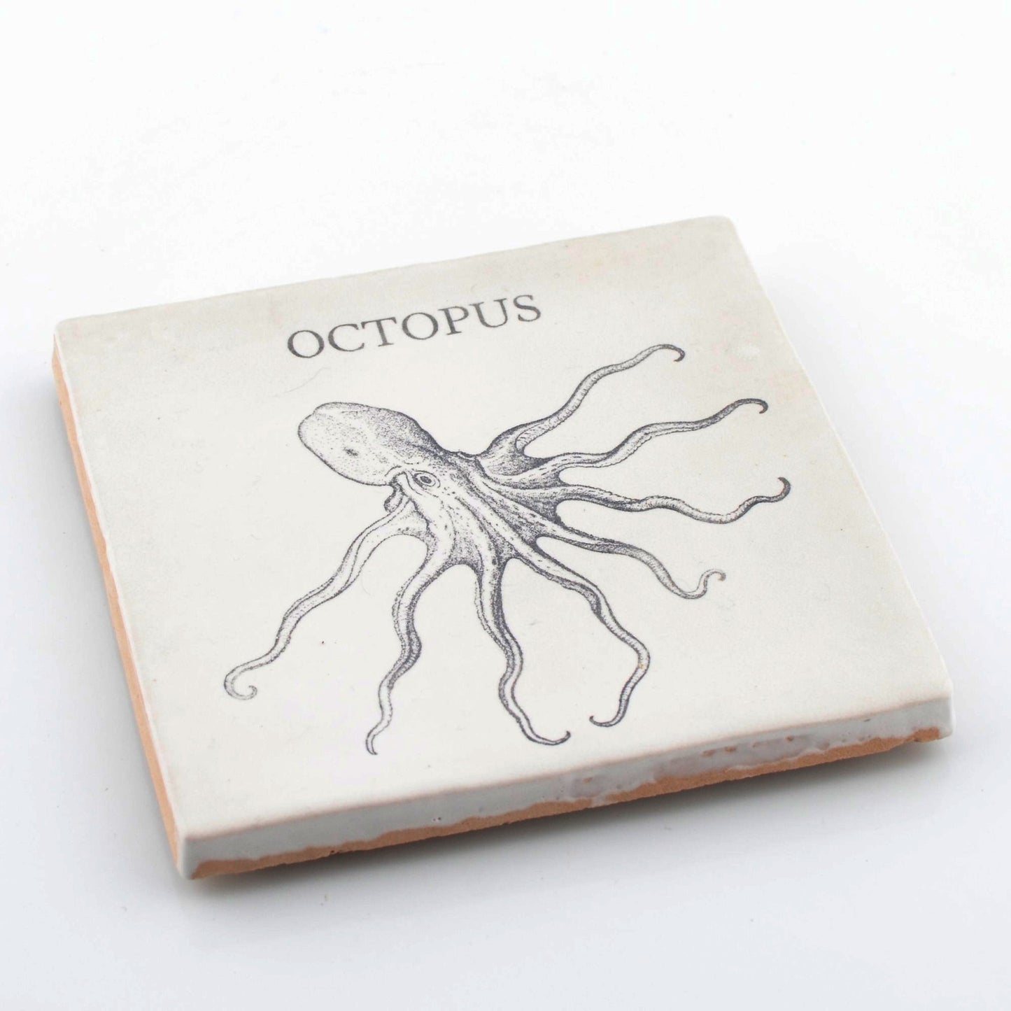 Marine Life Ceramic Coaster - Octopus