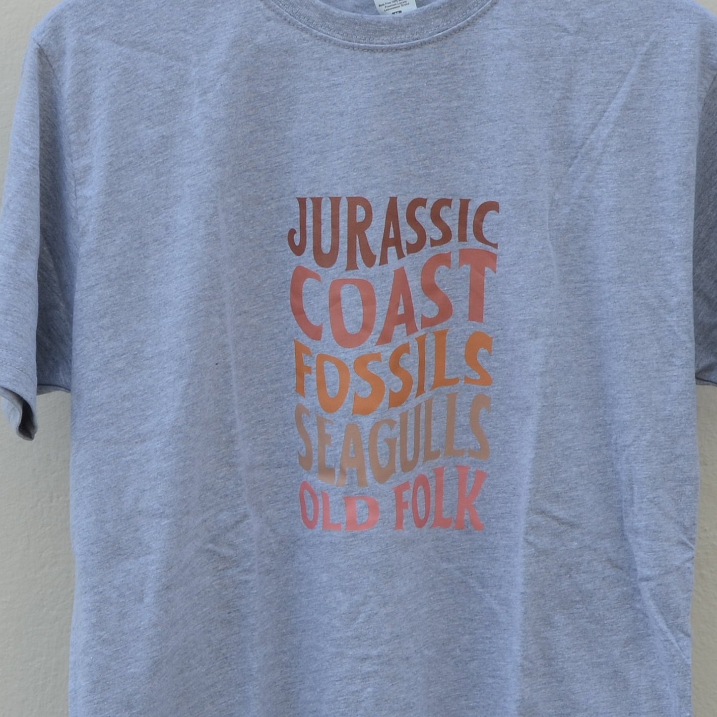 Jurassic Coast, Fossils, Seagulls, Old Folk T-Shirt
