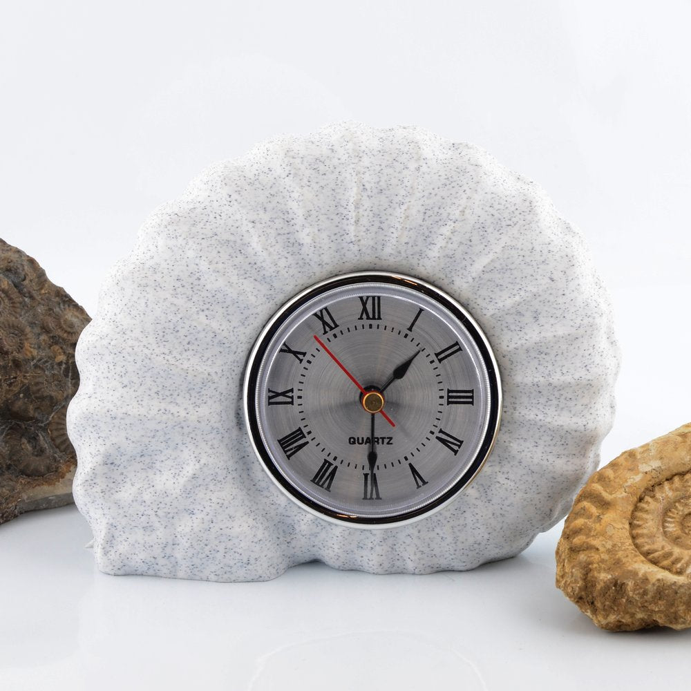 Ammonite Clock Marston Magna