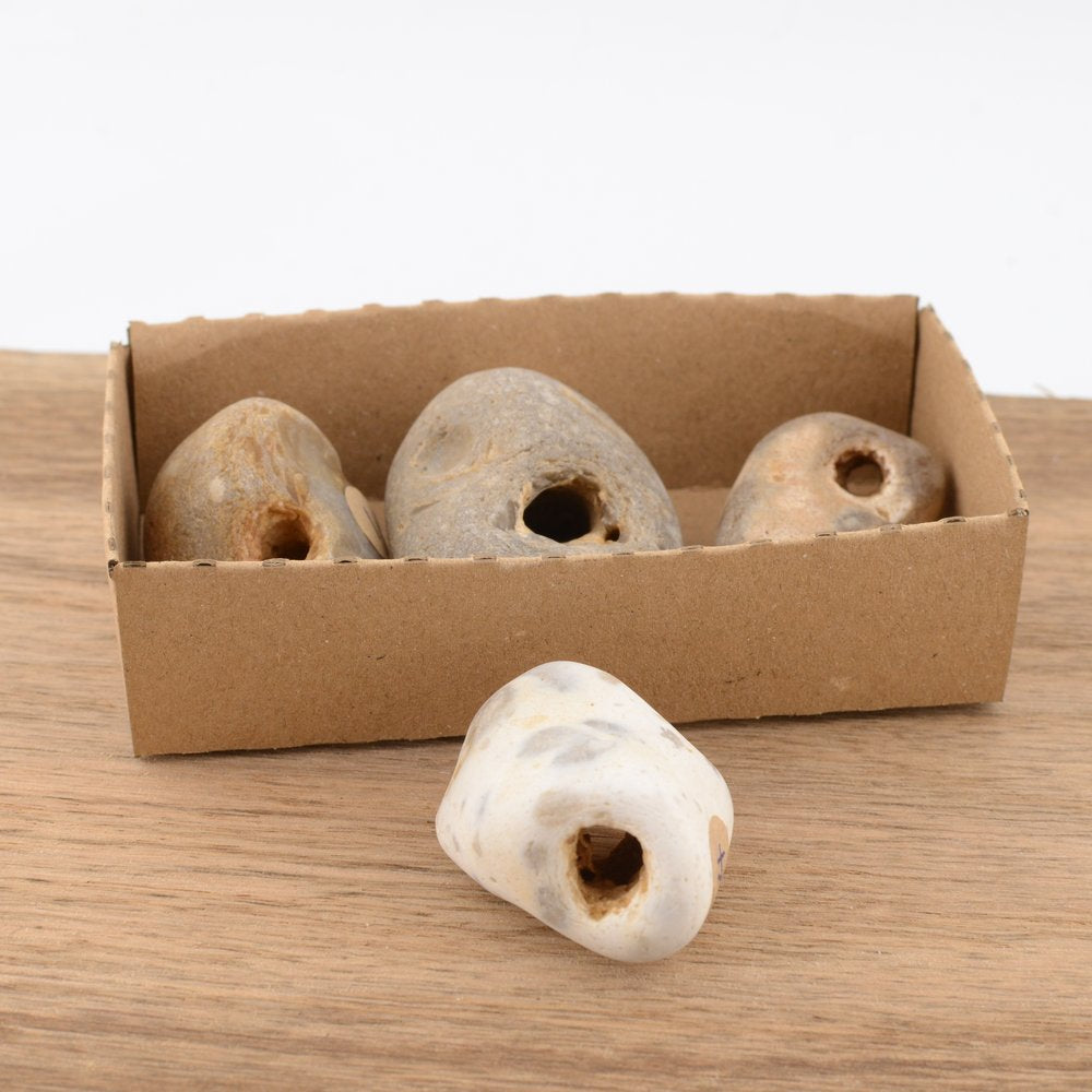 Hag Stone - under 5cm – Naturally Holed Jurassic Coast Pebble