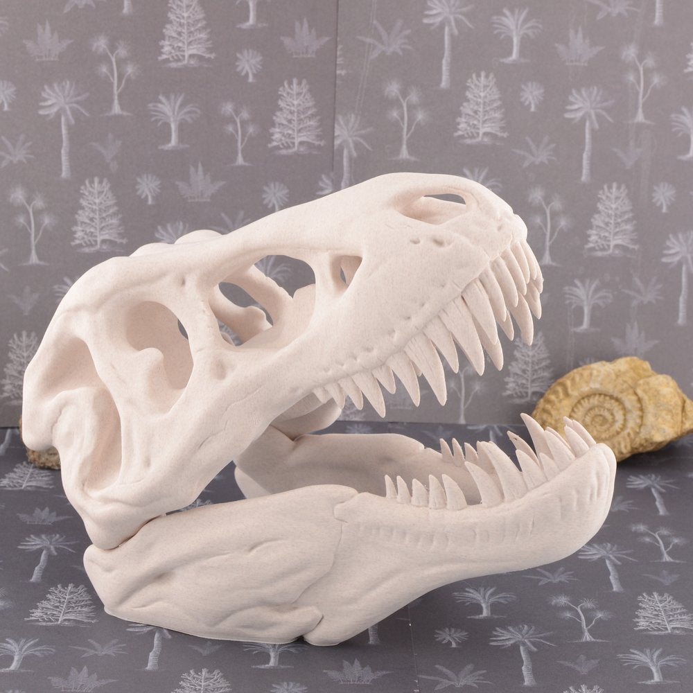 Model T Rex Skull Large