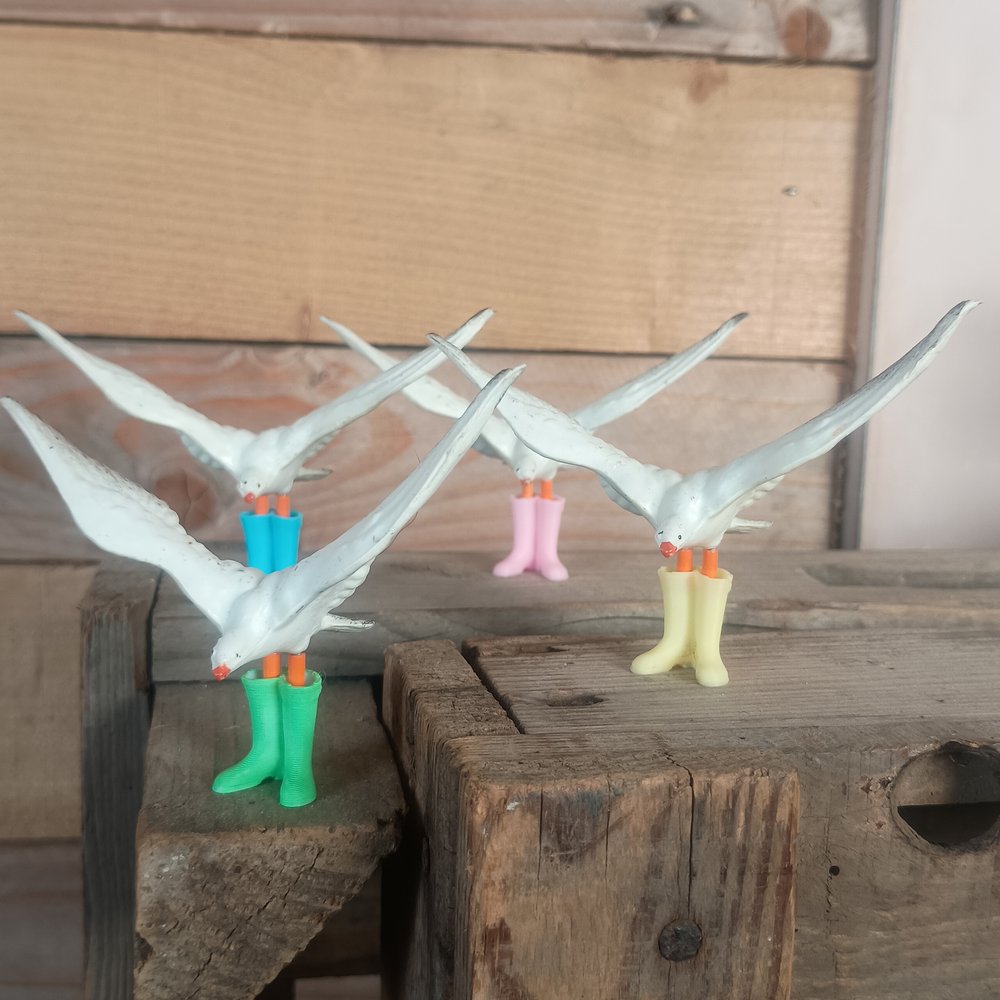Vintage Seagulls in Wellies