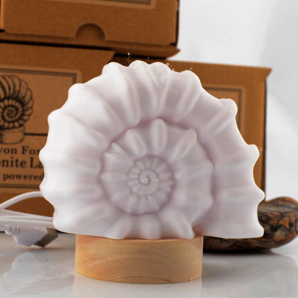 Ammonite Lamp