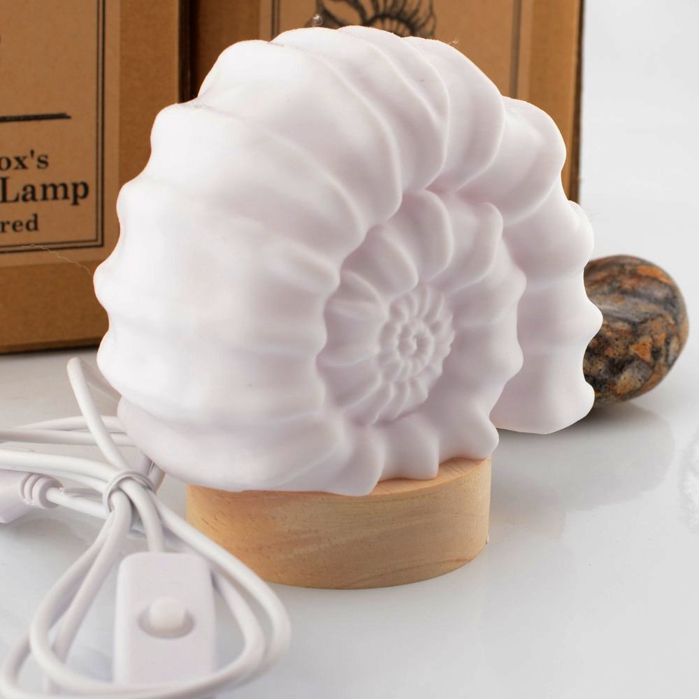 Ammonite Lamp