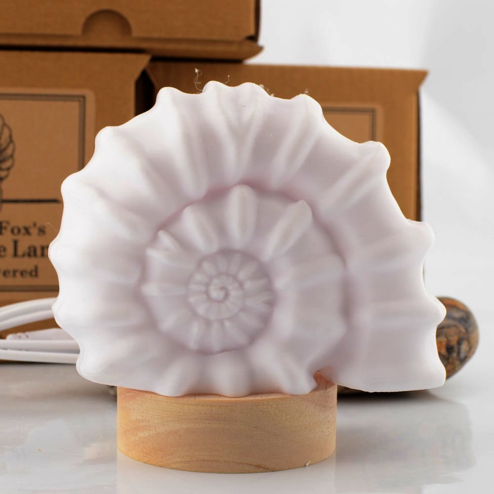Ammonite Lamp