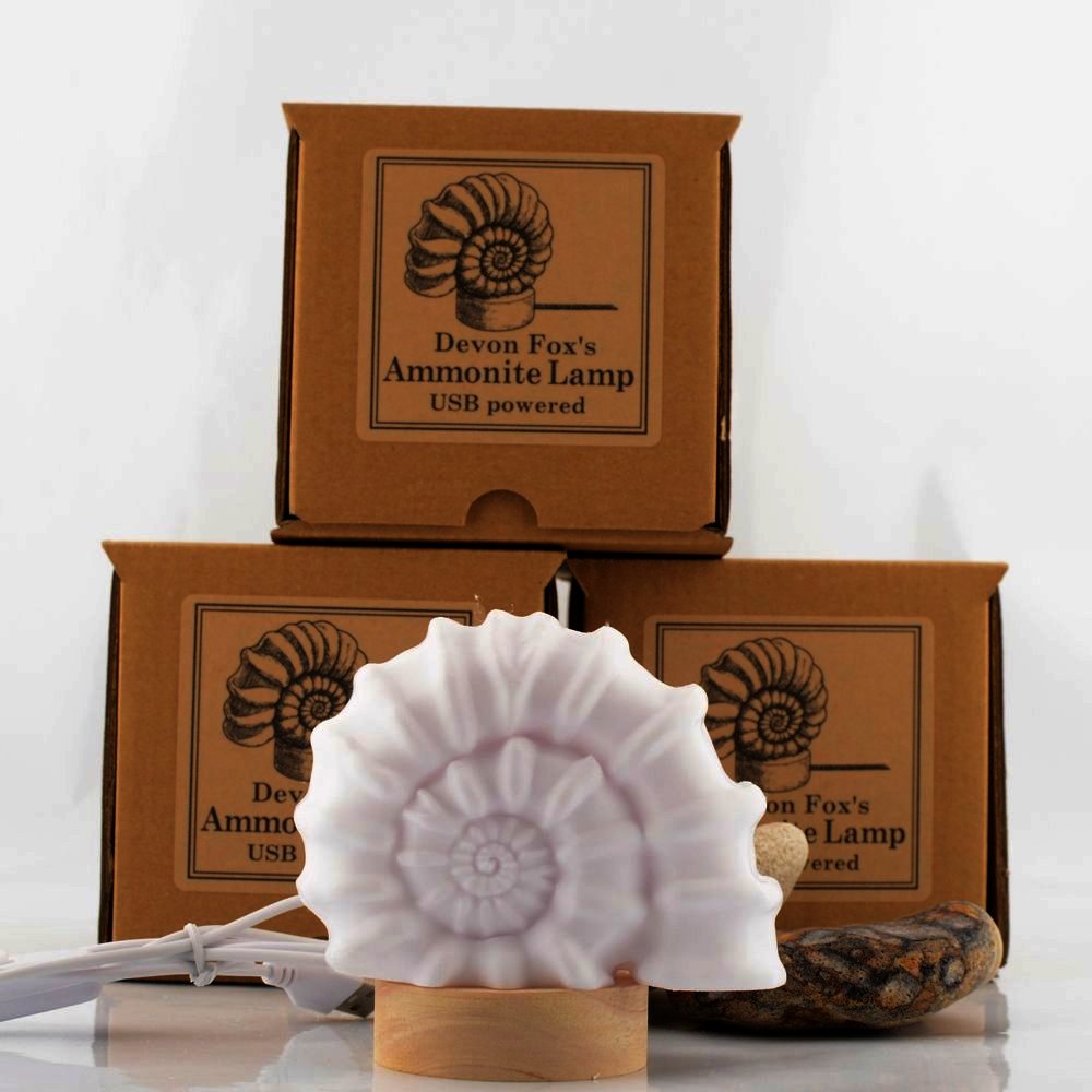 Ammonite Lamp