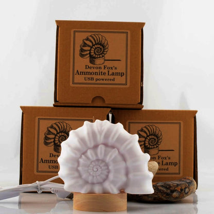 Ammonite Lamp