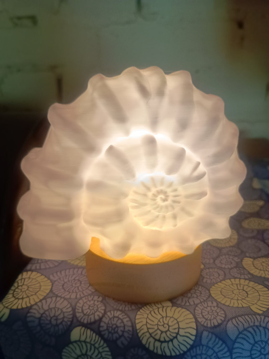 Ammonite Lamp
