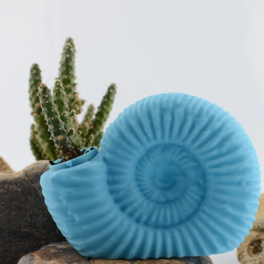 Ammonite Pot