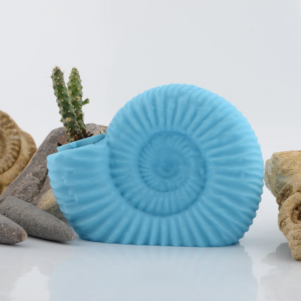 Ammonite Pot