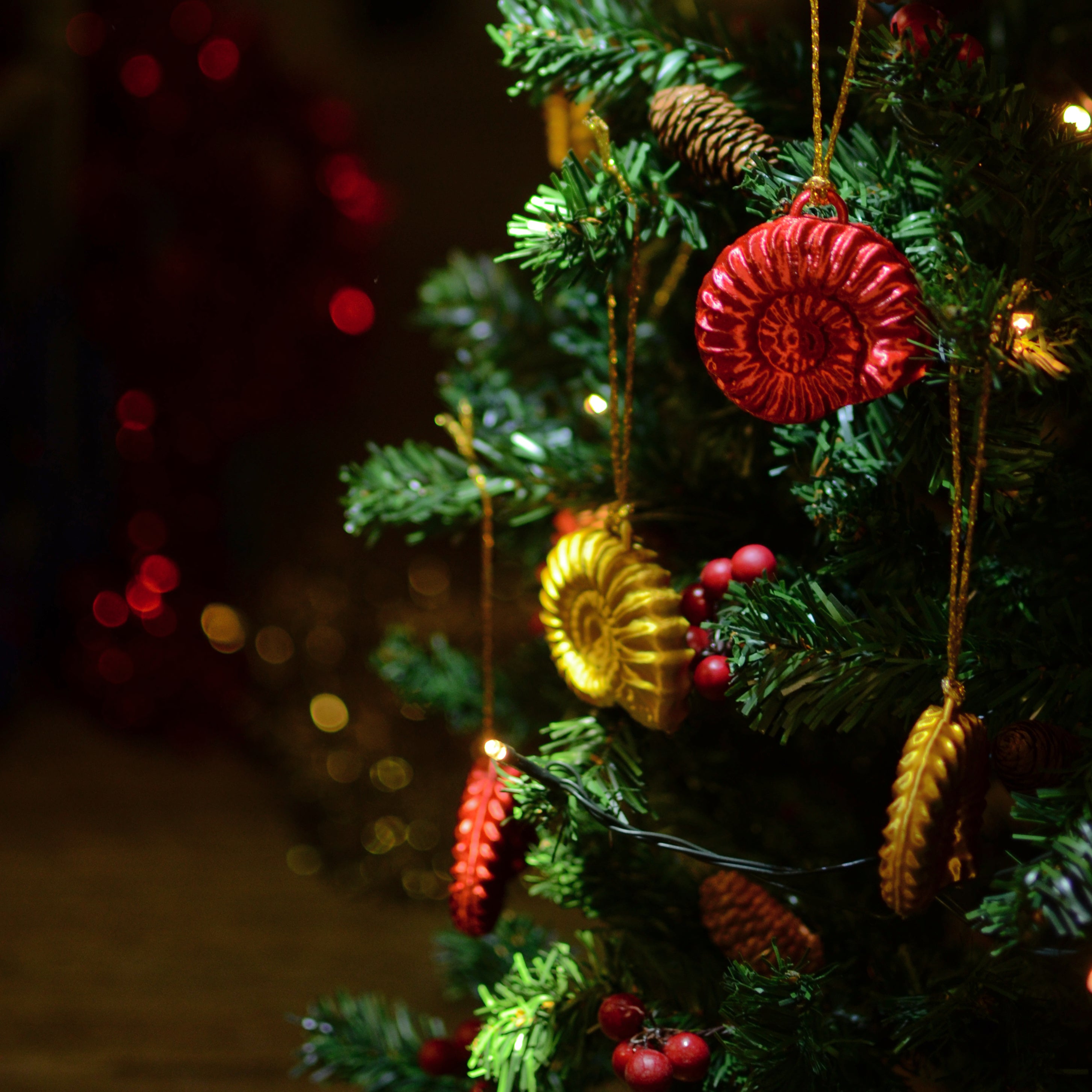 Decorative Christmas tree with red and gold ammonite ornaments against a dark background