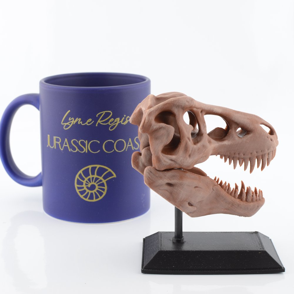 3D Printed T-Rex Skull Model