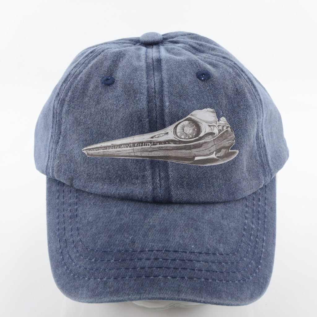 Ichthyosaur Skull Cap