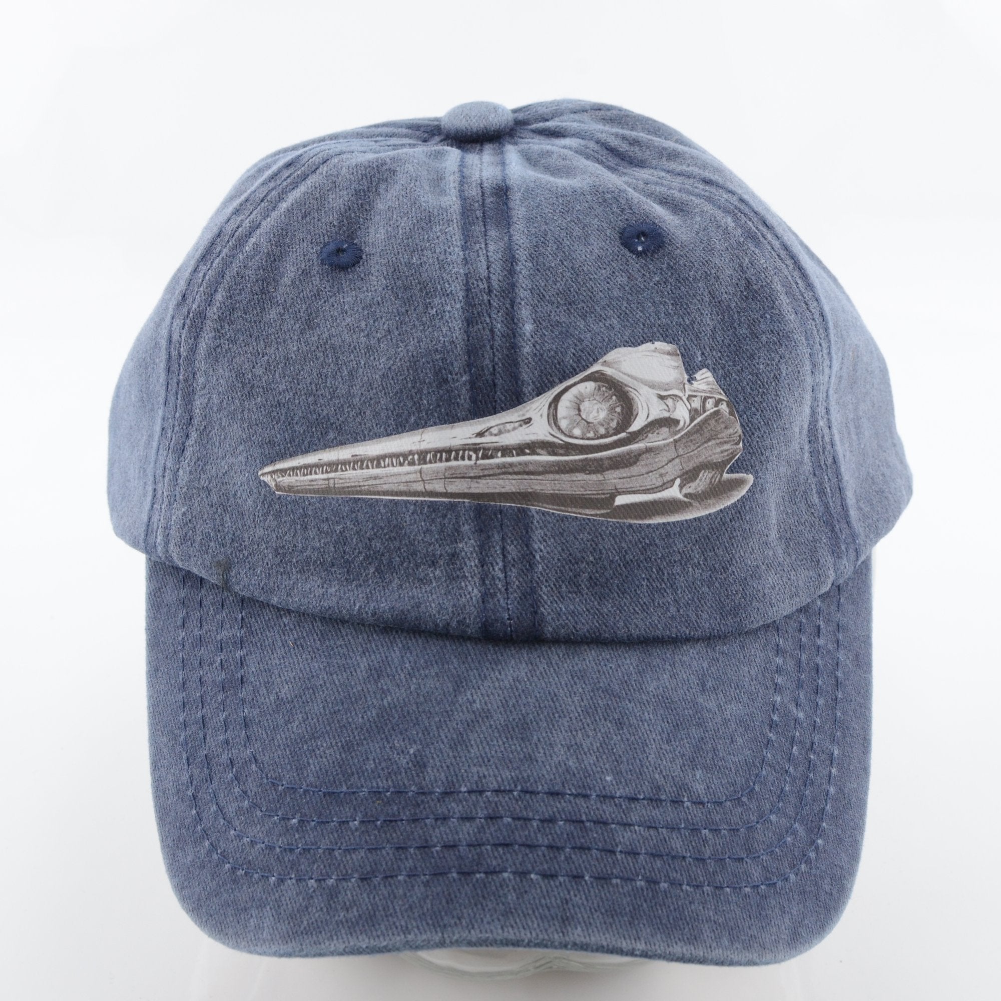 Ichthyosaur Skull Cap