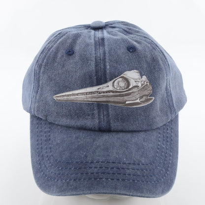 Ichthyosaur Skull Cap