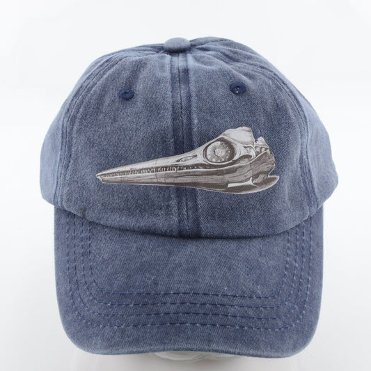 Ichthyosaur Skull Cap