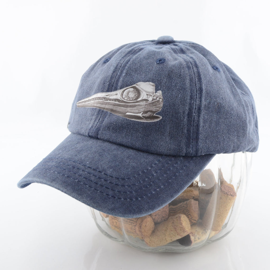 Ichthyosaur Skull Cap