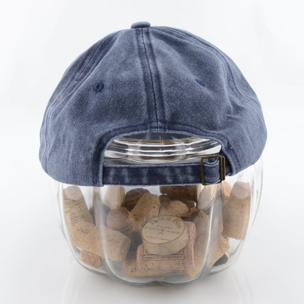 Ichthyosaur Skull Cap