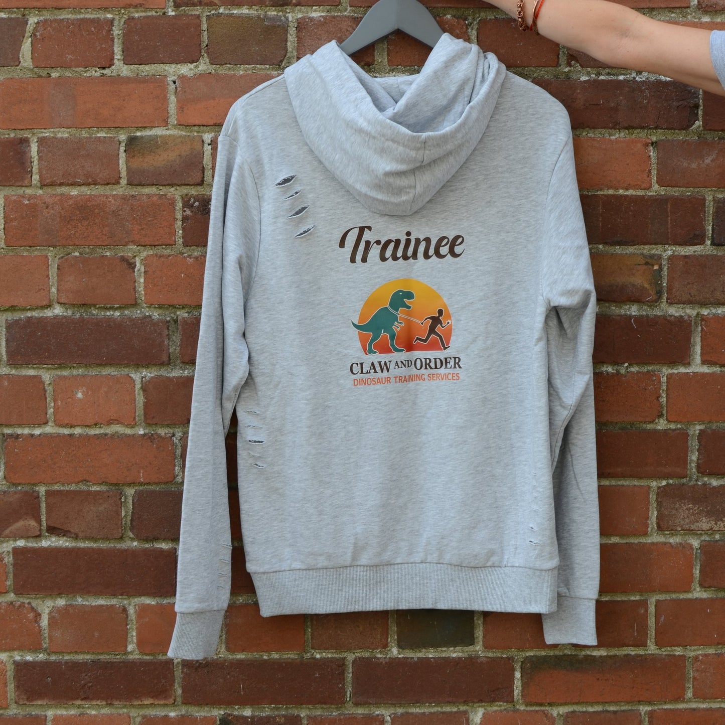 Claw and Order - Dinosaur Training Services Hoodie