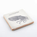 Marine Life Ceramic Coaster - Cuttlefish