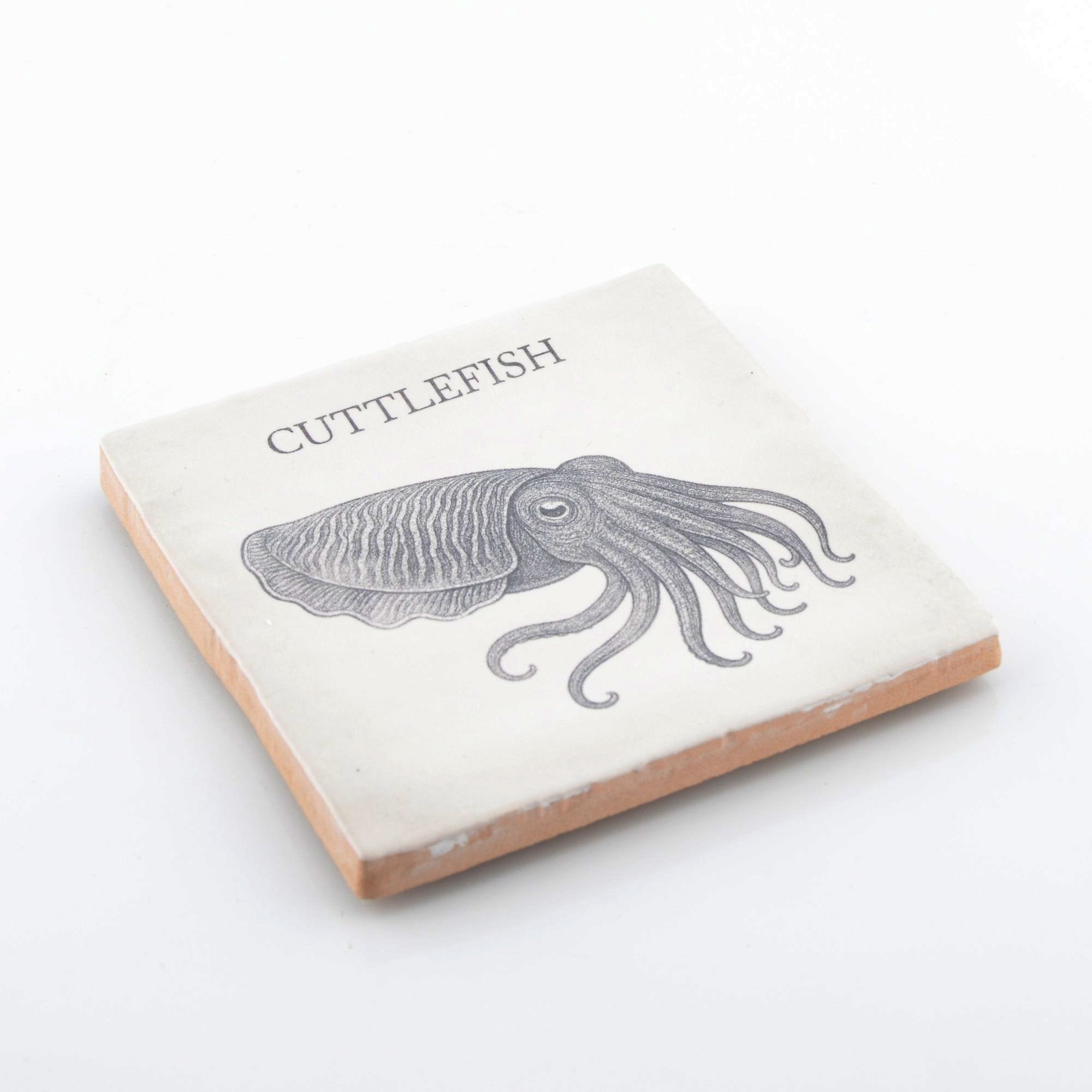 Marine Life Ceramic Coaster Set - Octopus, Cuttlefish, Brown Crab & Barrel Jellyfish