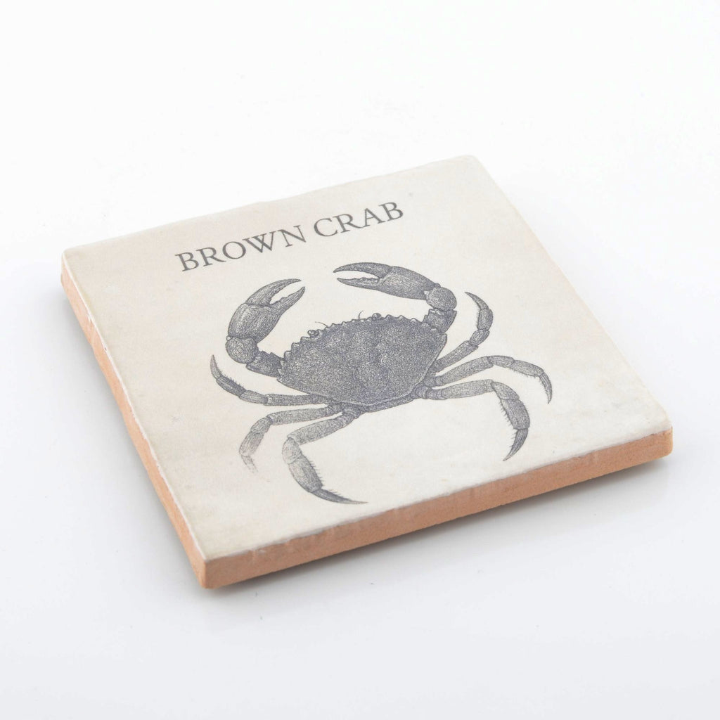 Marine Life Ceramic Coaster Set - Octopus, Cuttlefish, Brown Crab & Barrel Jellyfish