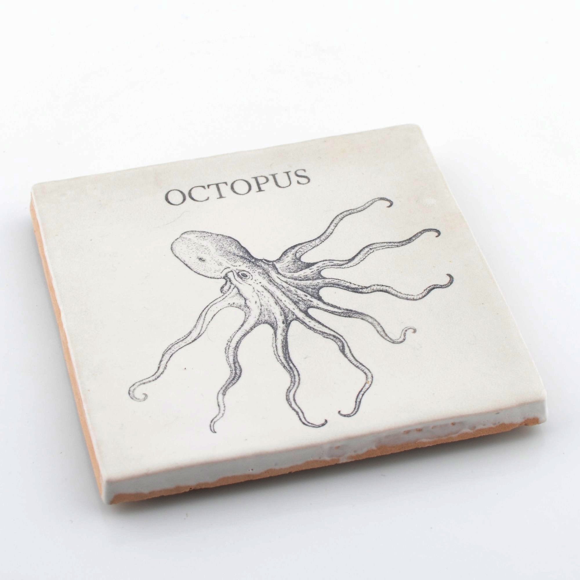 Marine Life Ceramic Coaster Set - Octopus, Cuttlefish, Brown Crab & Barrel Jellyfish