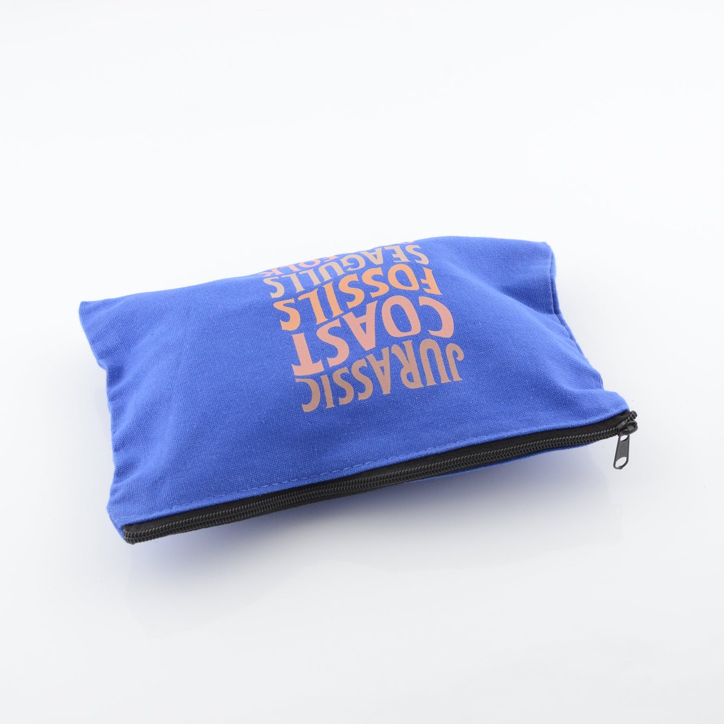 Jurassic Coast - Fossils, Seagulls, Old Folk Pouch