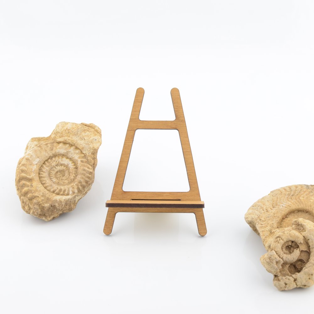 Desk/Shelf Top Ammonite Clock