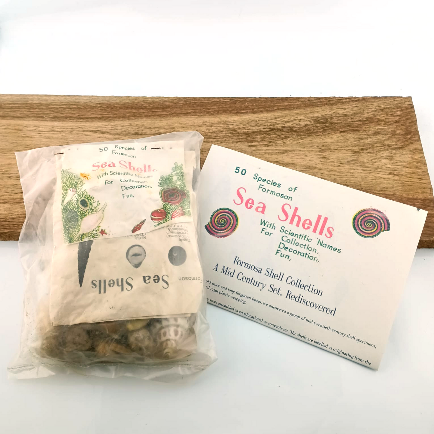 The Formosa Sea Shell Collection