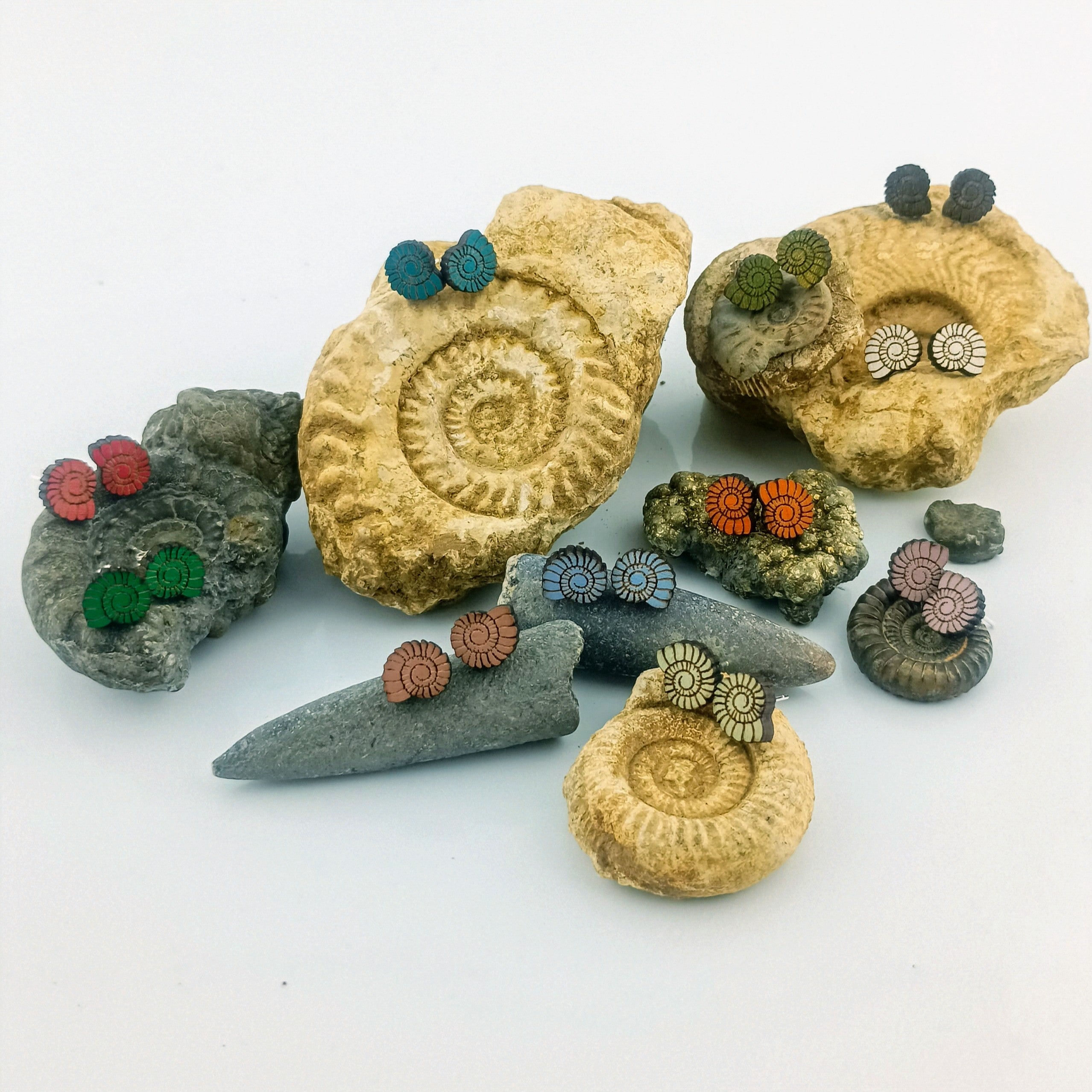 Wooden Ammonite Stud Earrings - Silver Plated