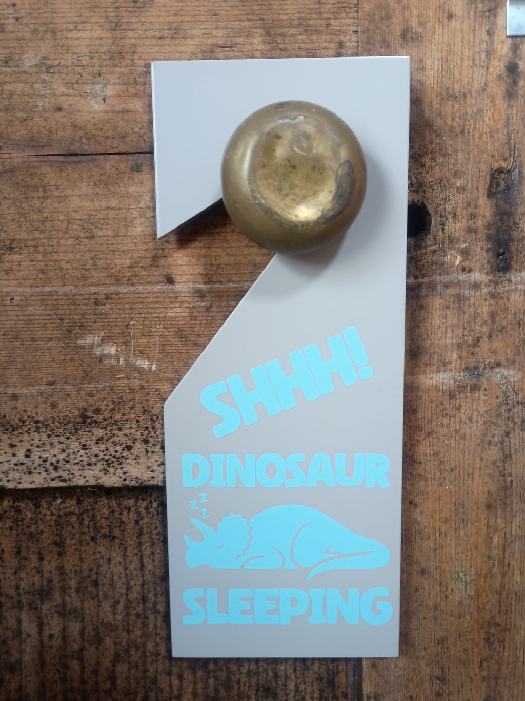 Upcycled Sleep/Awake Dinosaur Door Hanger