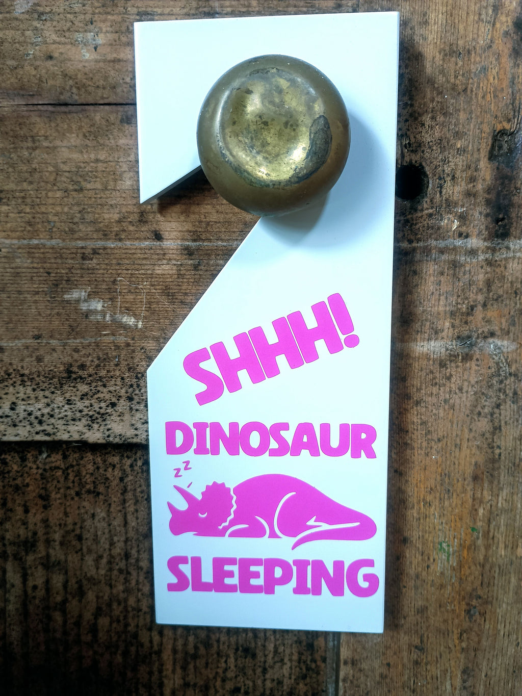 Upcycled Sleep/Awake Dinosaur Door Hanger