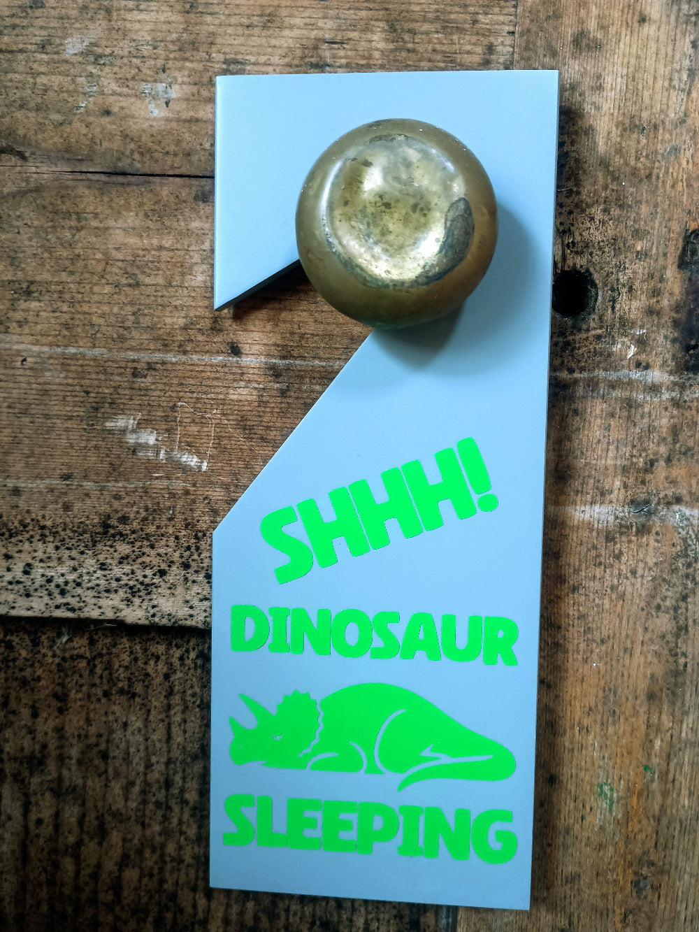 Upcycled Sleep/Awake Dinosaur Door Hanger
