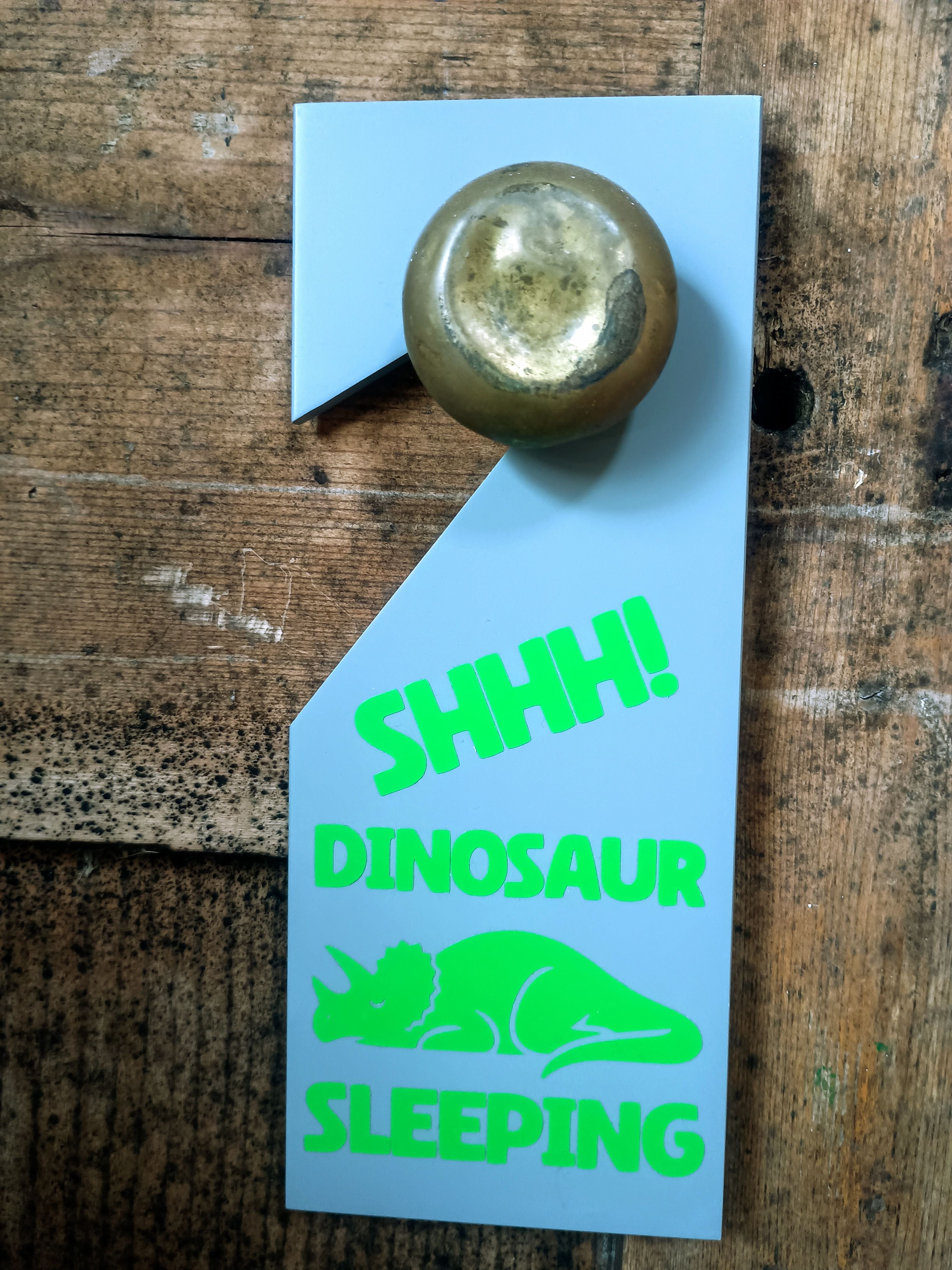 Upcycled Sleep/Awake Dinosaur Door Hanger