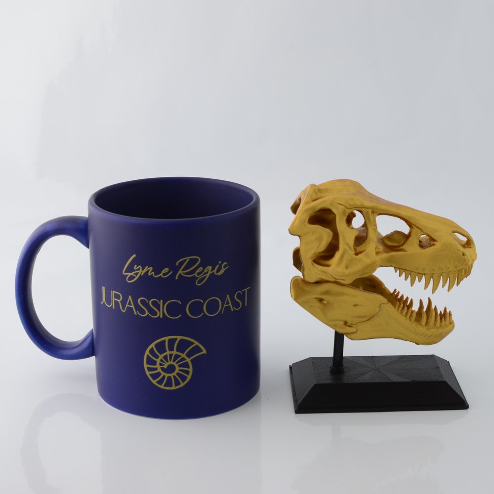 3D Printed T-Rex Skull Model