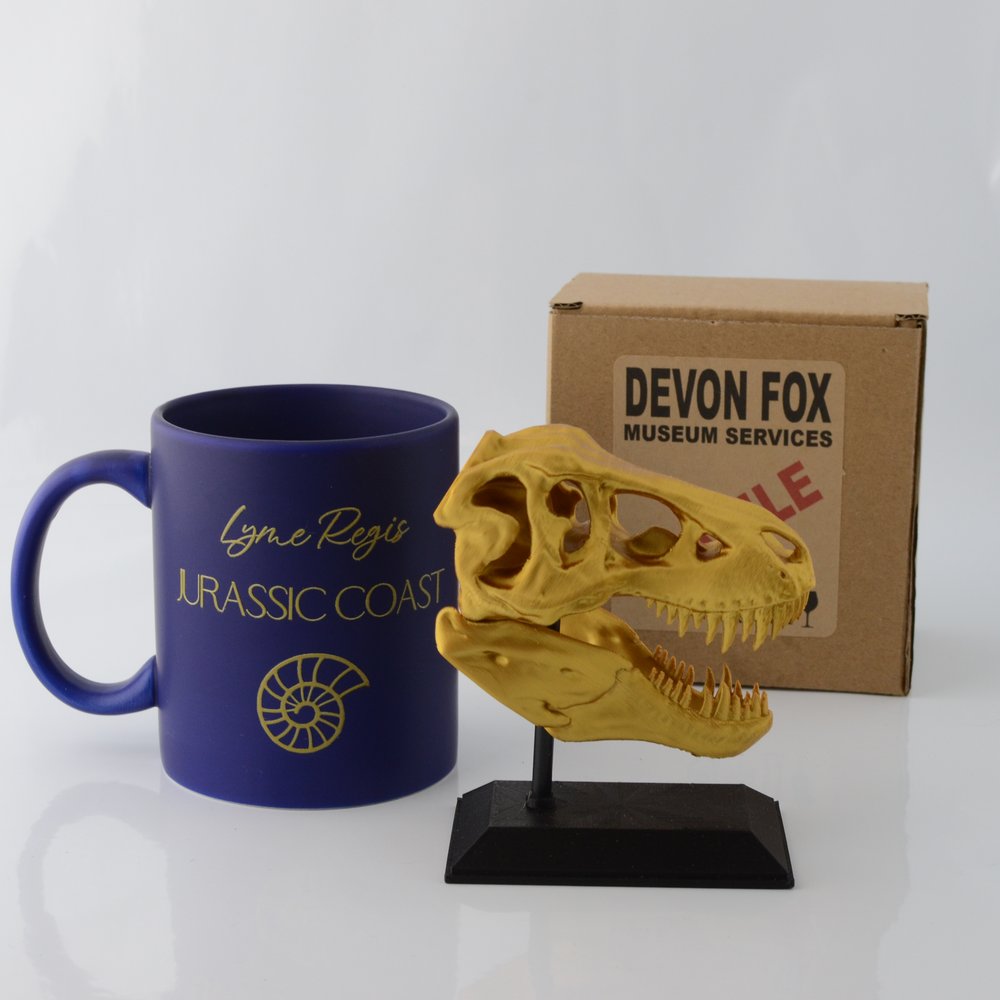 3D Printed T-Rex Skull Model