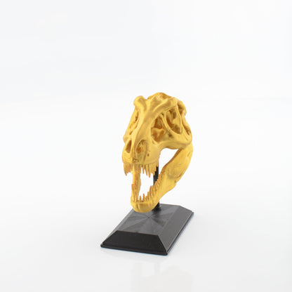 3D Printed T-Rex Skull Model