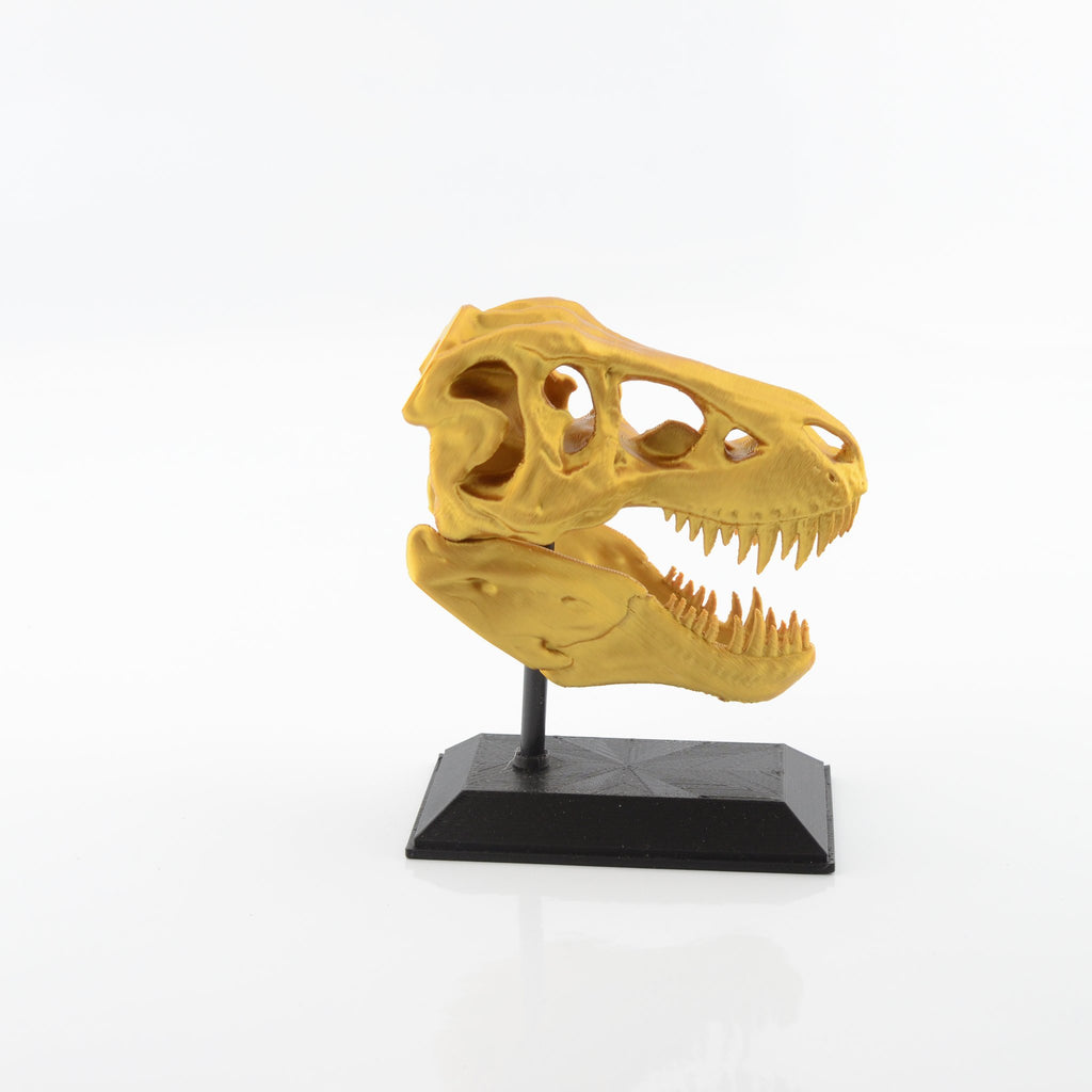 3D Printed T-Rex Skull Model