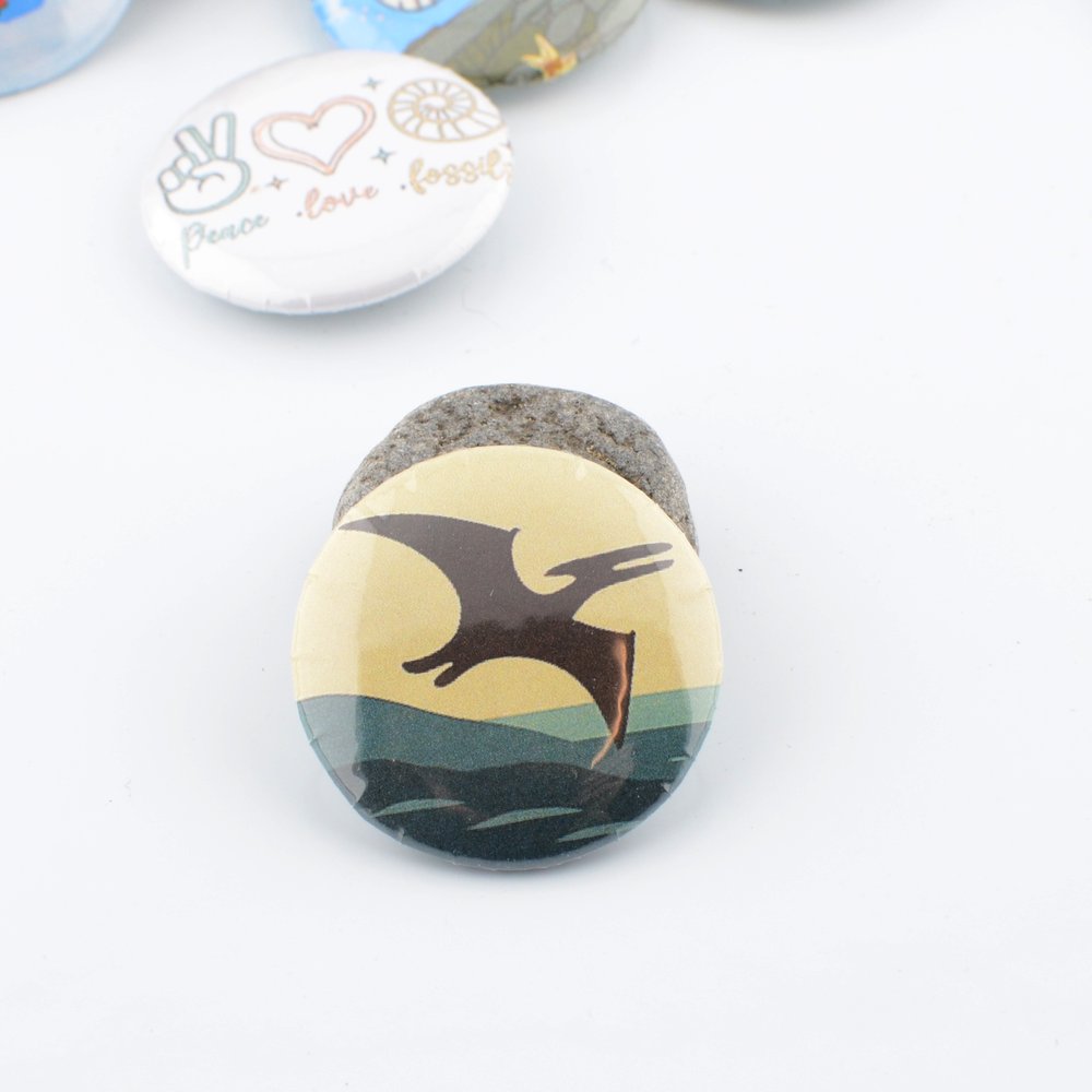 Jurassic Coast Button Badges