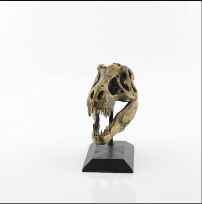 3D Printed T-Rex Skull Model