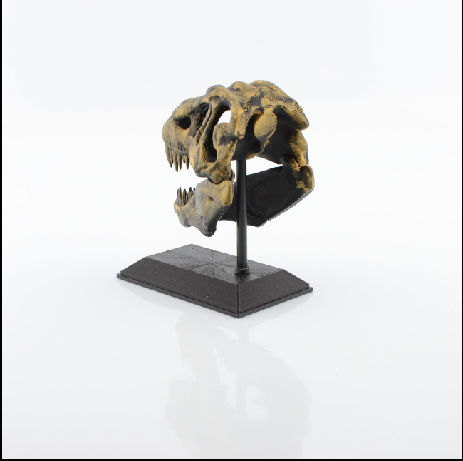 3D Printed T-Rex Skull Model