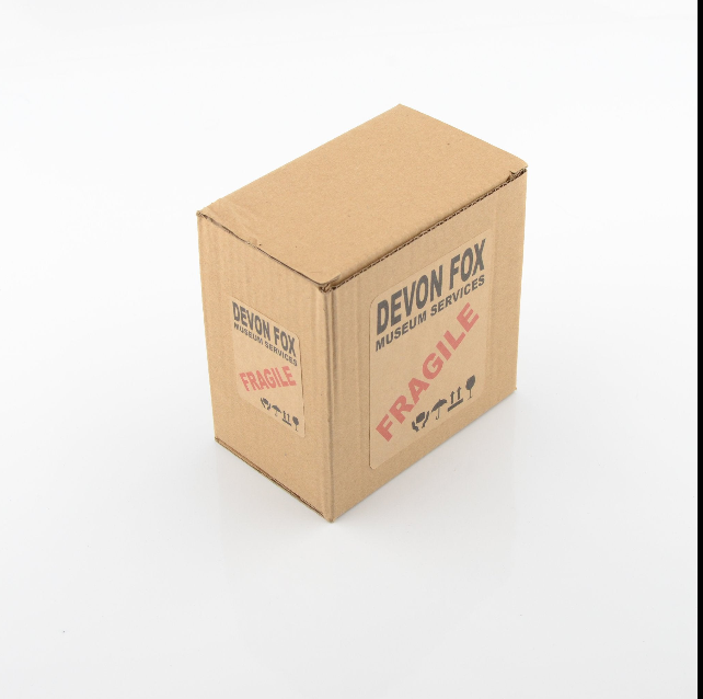 3D Printed T-Rex Skull Model