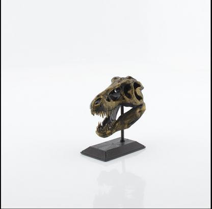 3D Printed T-Rex Skull Model
