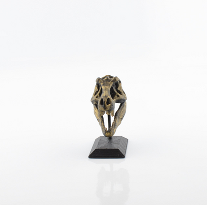 3D Printed T-Rex Skull Model