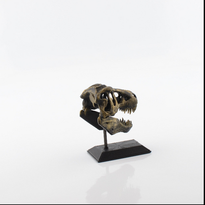 3D Printed T-Rex Skull Model